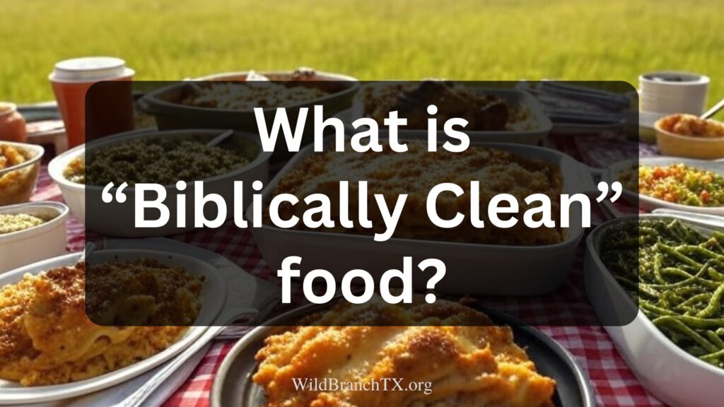 What is Biblically Clean food?