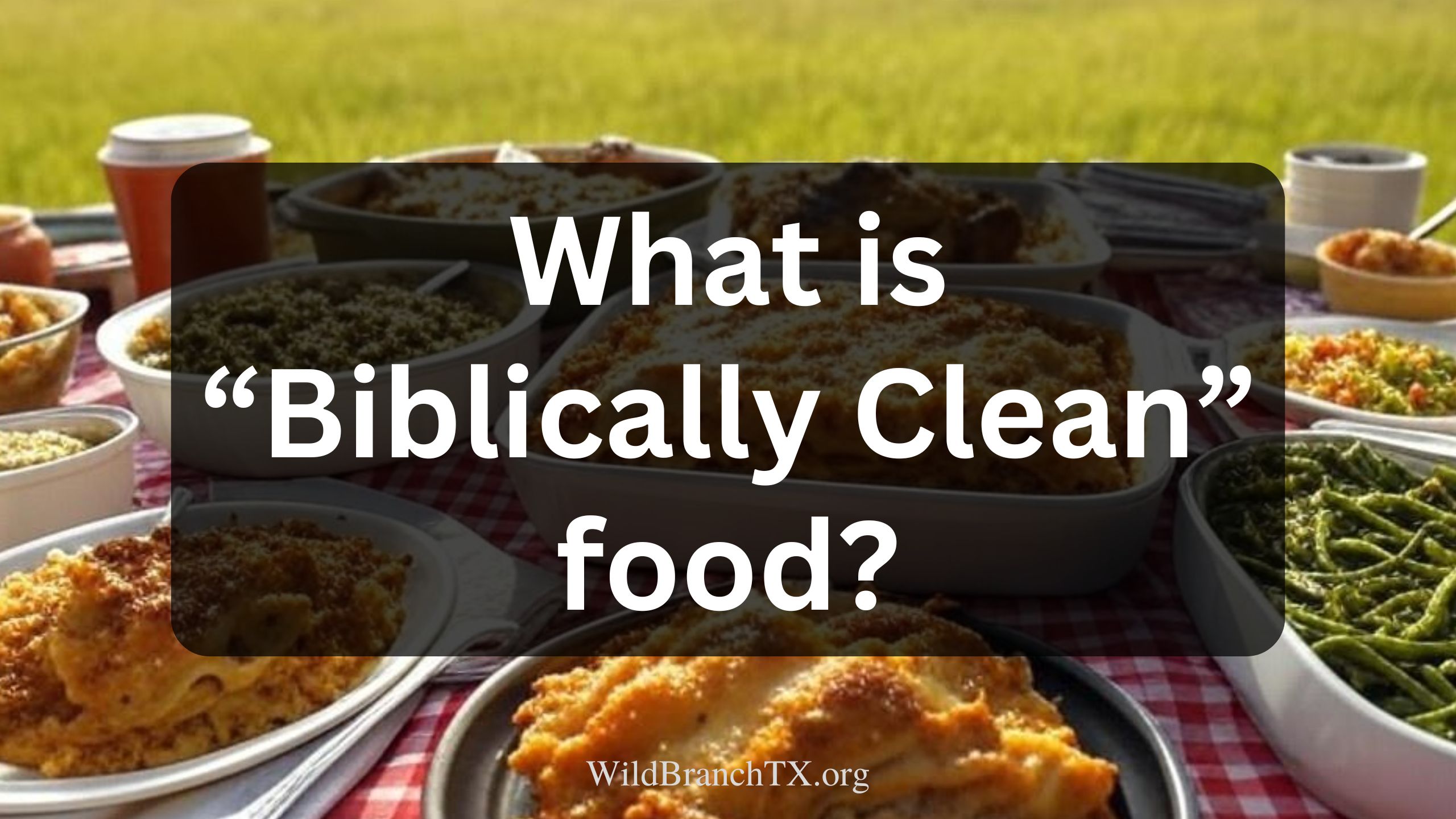 What Is “Biblically Clean” Food?